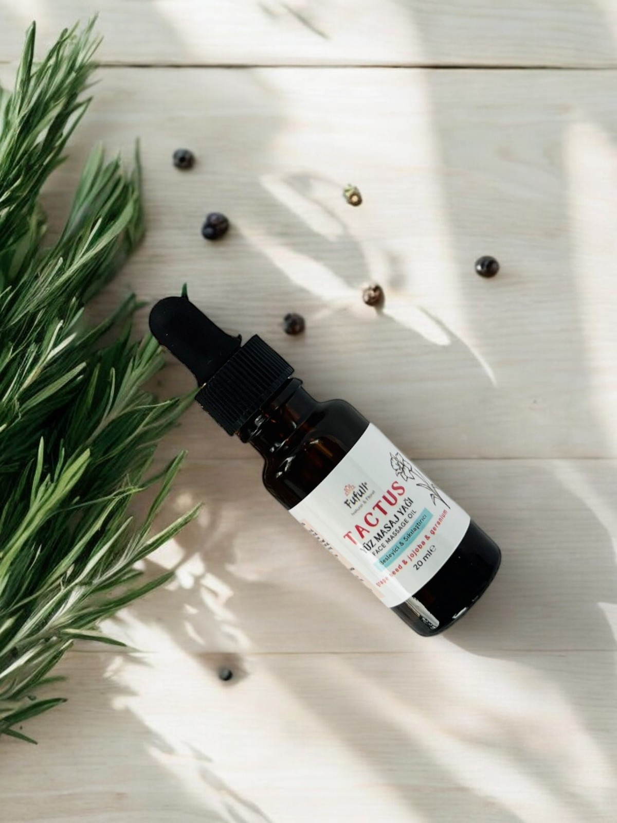 Tactus (3)-Photoroom