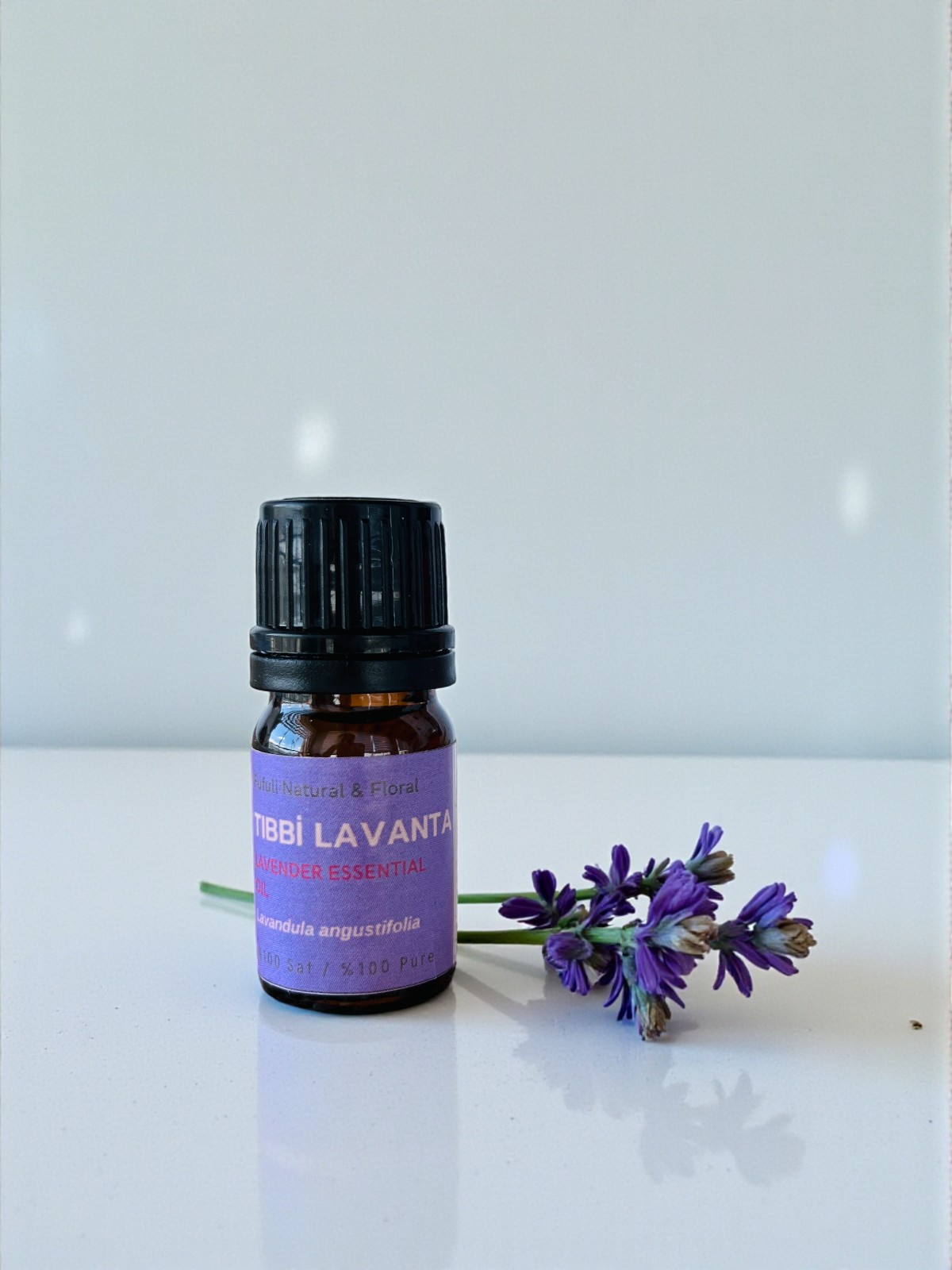 (kopya) (kopya) (kopya) (kopya)-Photoroom (4)