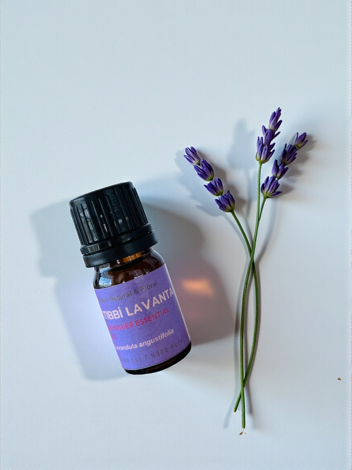 (kopya) (kopya) (kopya) (kopya)-Photoroom (5)