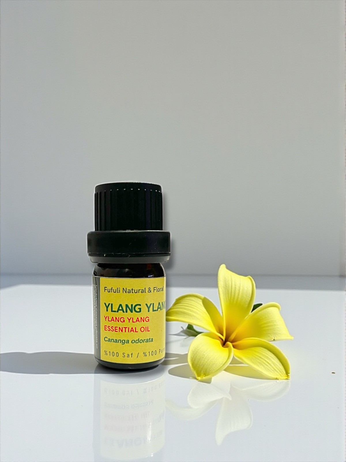 4bf902e1-cc53-4440-a1fc-4fabeb145bb0-Photoroom