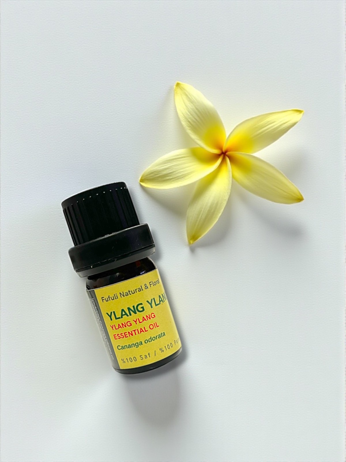 9ab097cd-b63a-4547-a11d-08f83408b420-Photoroom